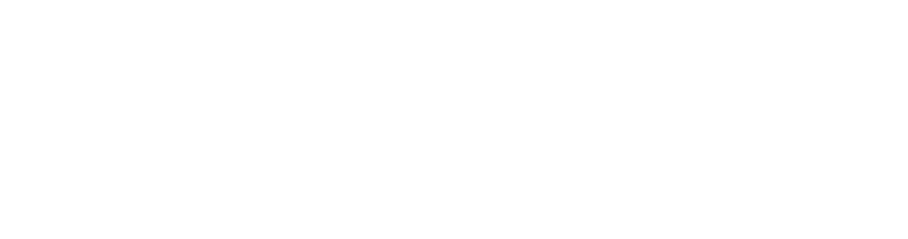 agile format (dark)